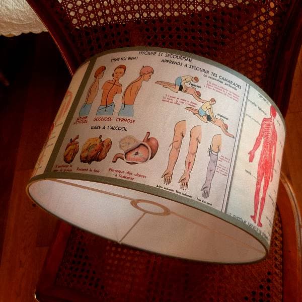 Abat-jour thème anatomie vue 4