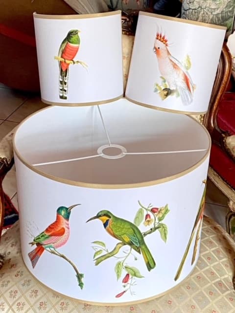 Applique demi-lune oiseau vue 6