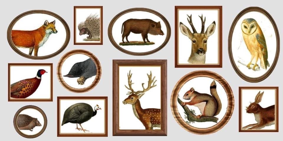 Applique demi-lune thème tableaux d'animaux vue 2