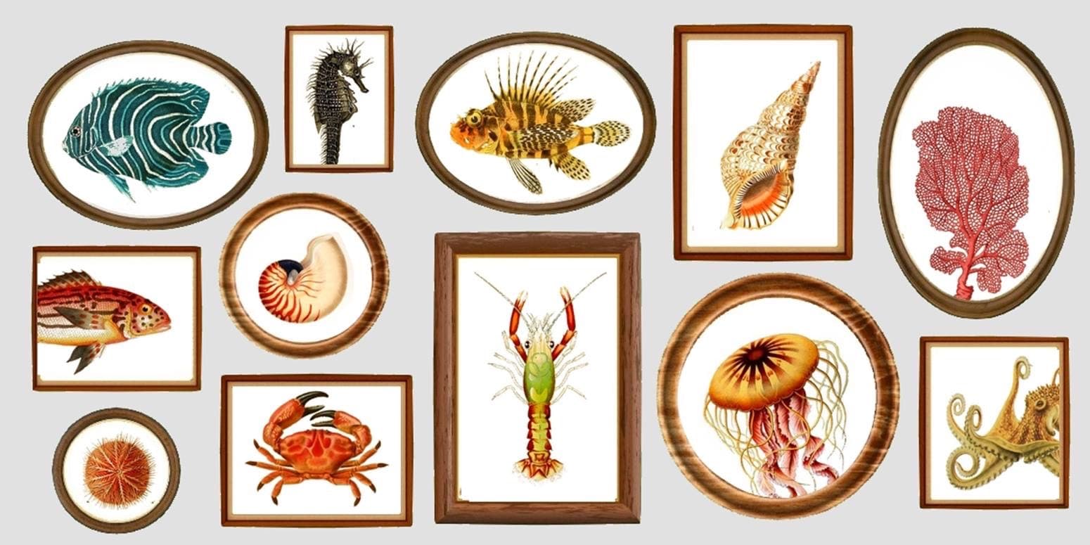 Applique demi-lune thème tableaux d'animaux vue 3