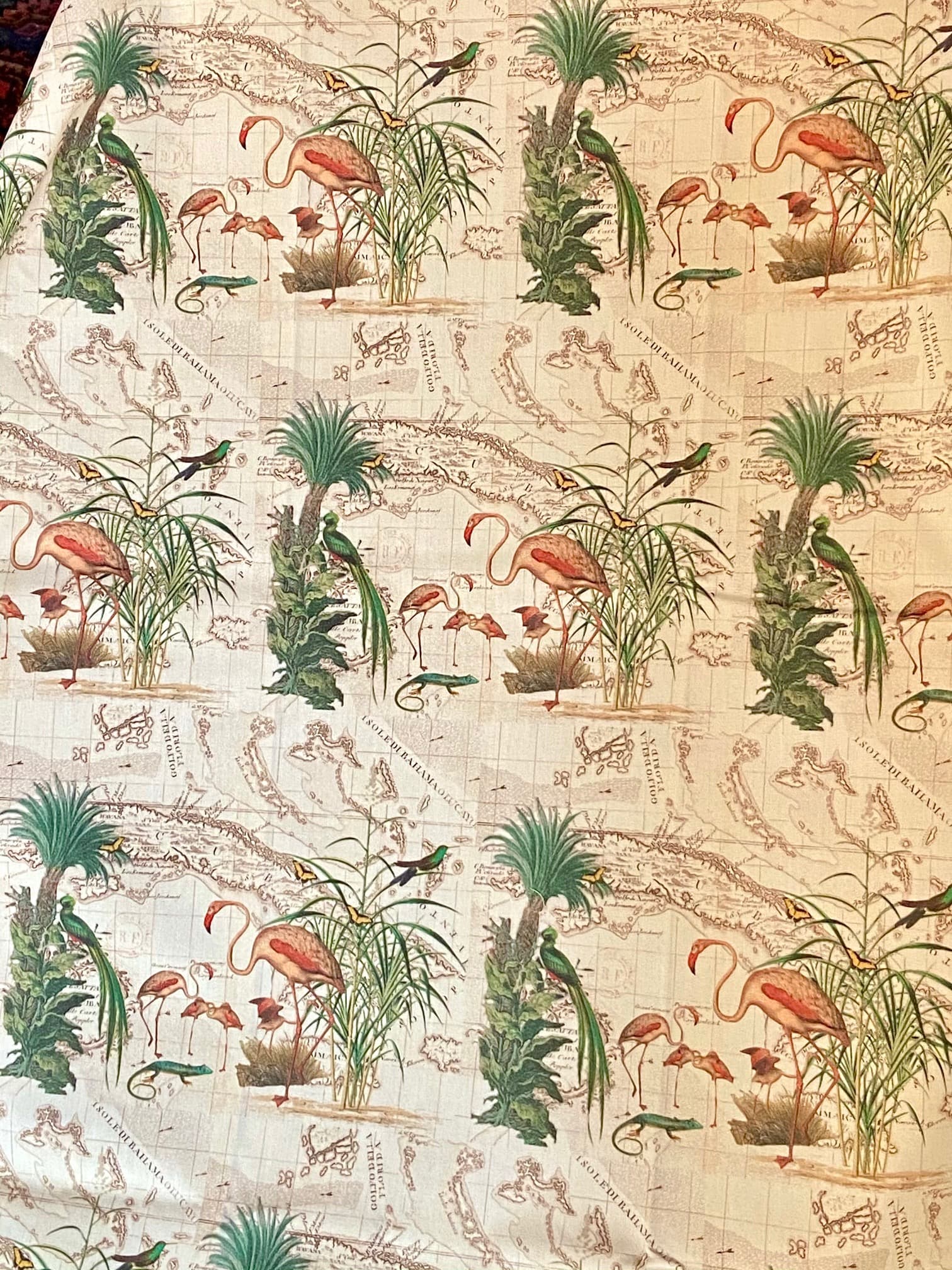 Cuba Libre fabric, designed by L’Esprit des Lumières, view 2