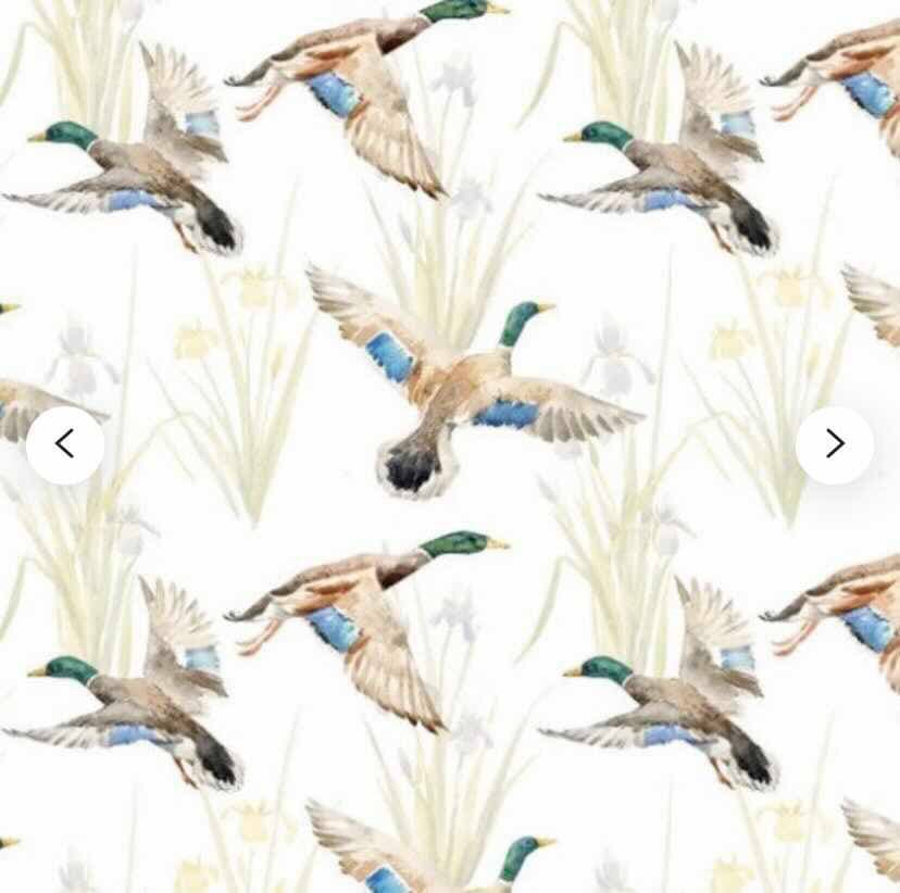 Tissu canards chasse