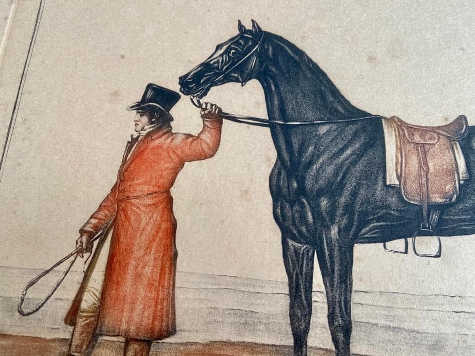 Antique aquatint engraving, Carle Vernet, view 2