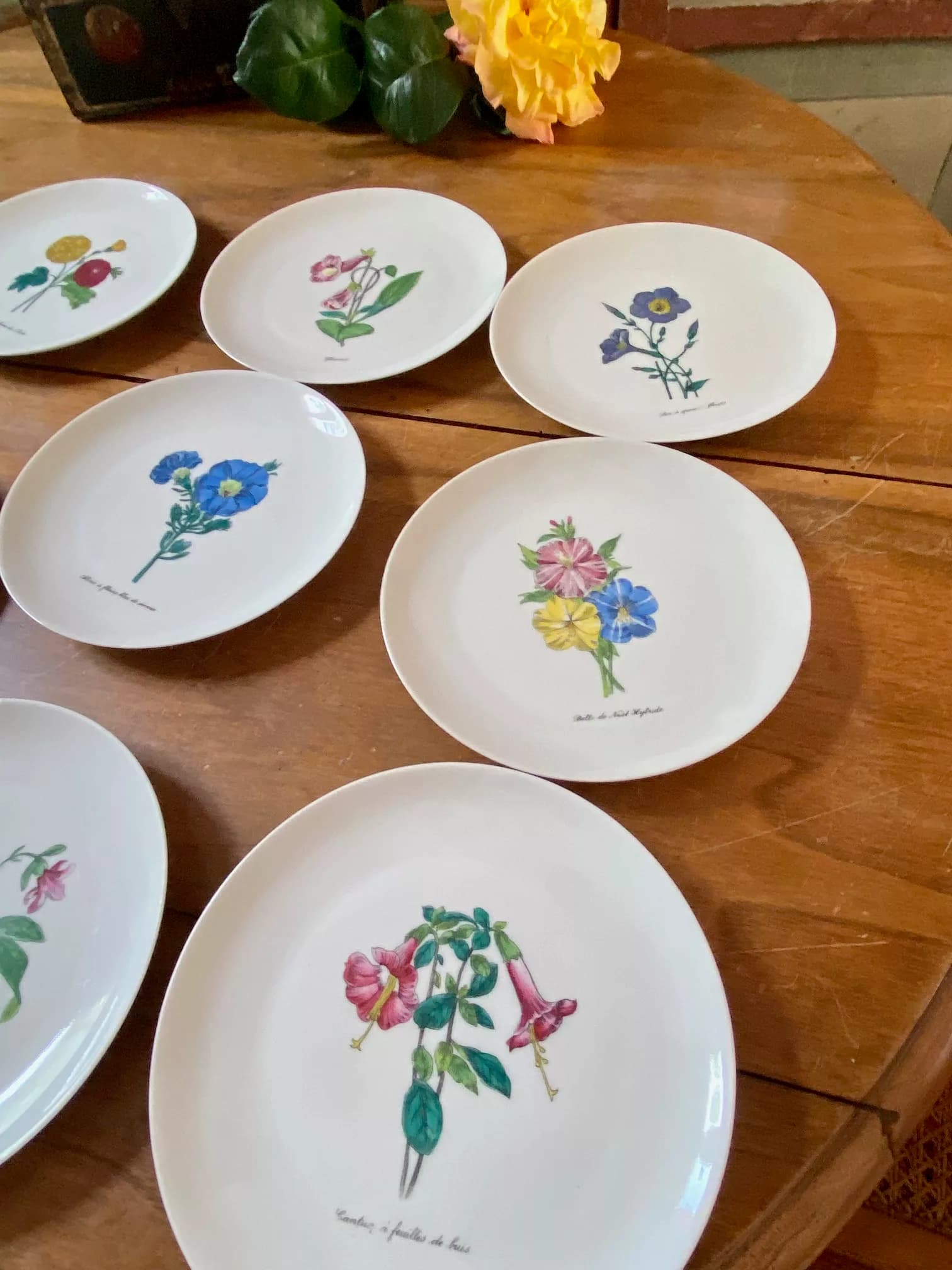 Set of 9 dessert plates, Limoges porcelain with a floral motif, view 2