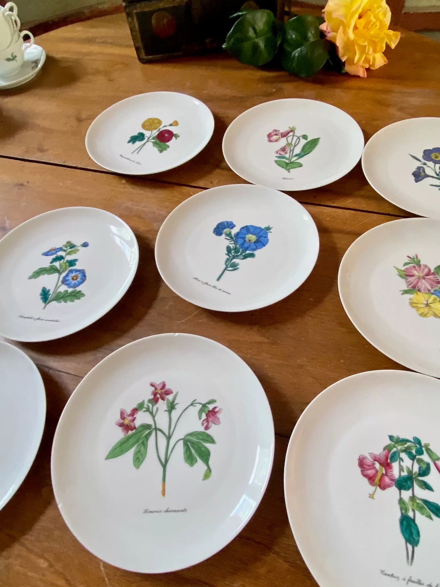 Set of 9 dessert plates, Limoges porcelain with a floral motif, view 3