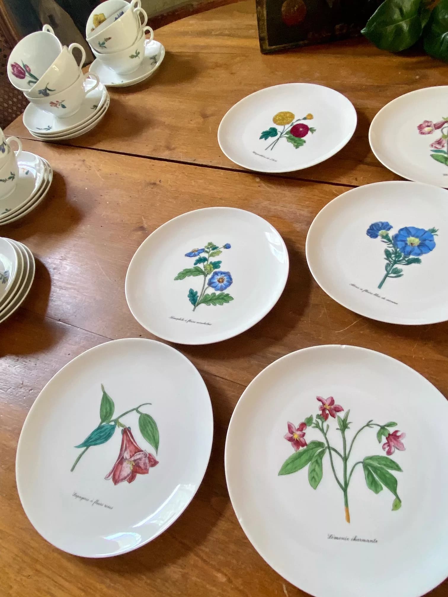 Set of 9 dessert plates, Limoges porcelain with a floral motif, view 4
