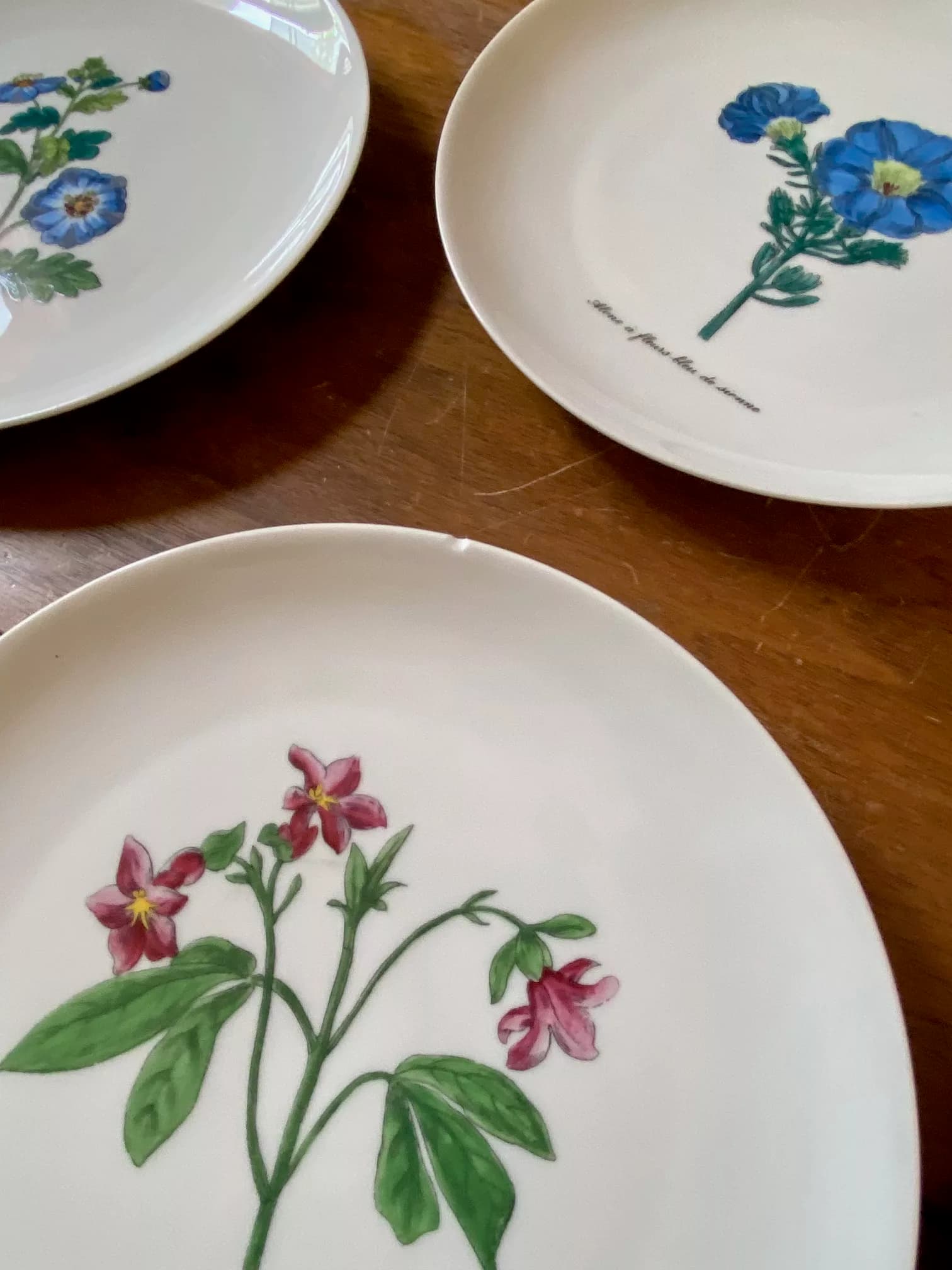 Set of 9 dessert plates, Limoges porcelain with a floral motif, view 5
