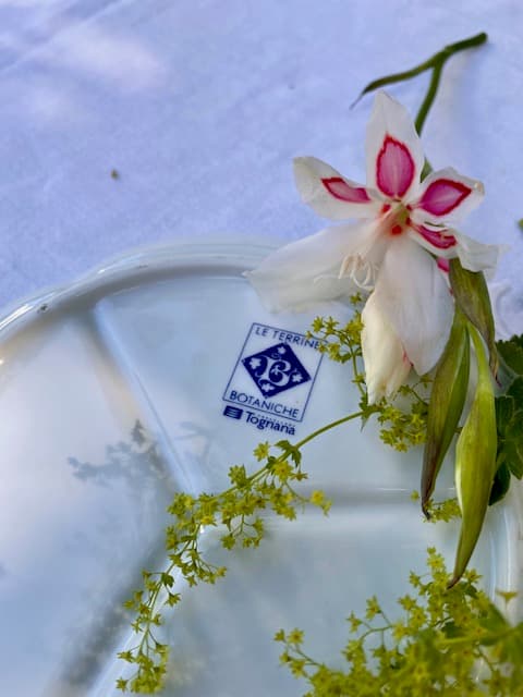 Porcelain dish with a botanical design, view 3