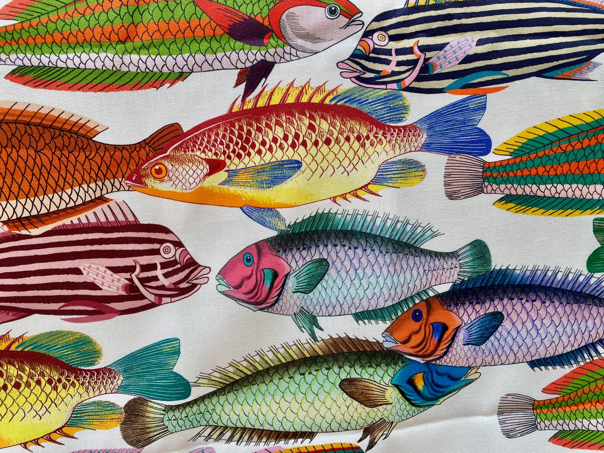 Tissu poissons multicolores -Tahiti