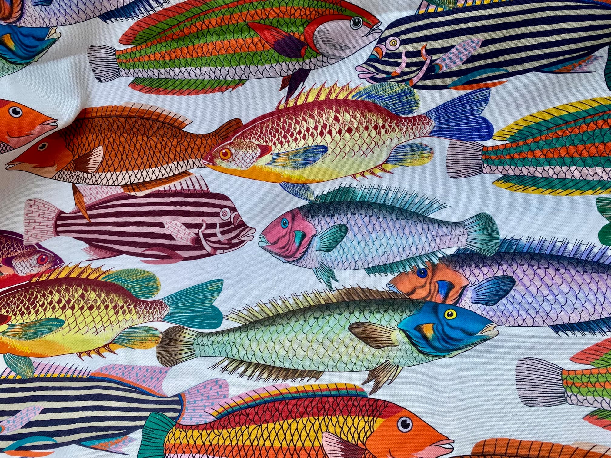 Multicoloured fish fabric – Tahiti, view 3
